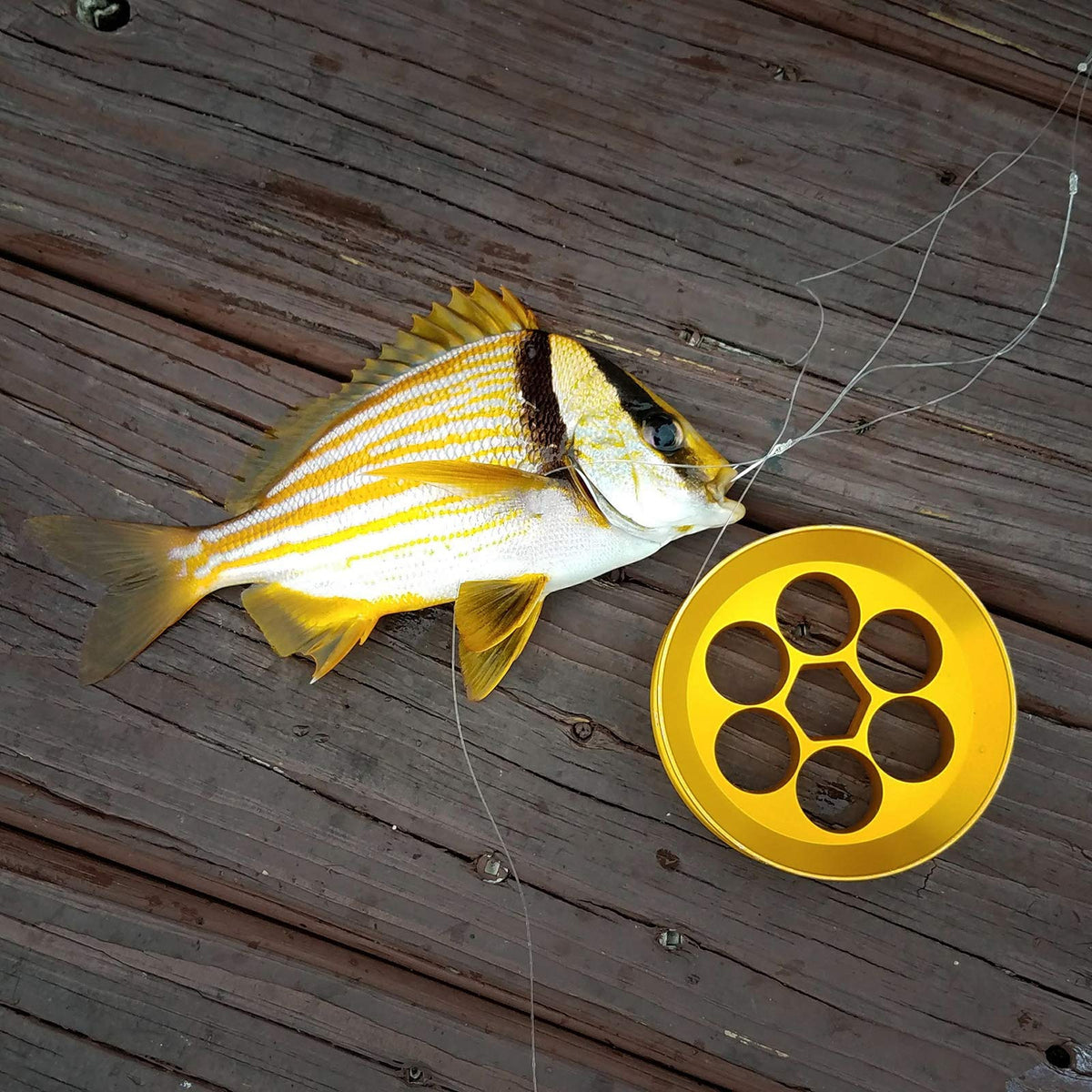 Aluminum Hand Line Reel Pocket/Travel Fishing Kit (30 lb Clear line)
